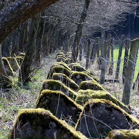 Nationalparkurlaub Eifel * Schleiden