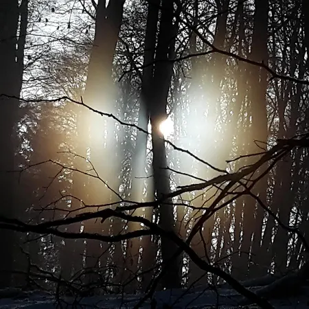Nationalparkurlaub Eifel Schleiden