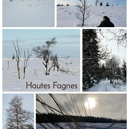 Nationalparkurlaub Eifel Schleiden