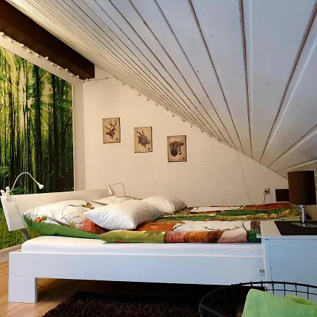 Apartamento Nationalparkurlaub Eifel *